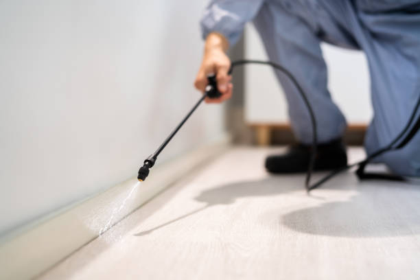 Licensed Termite Control service in Portola, CA - Nex Pest Control