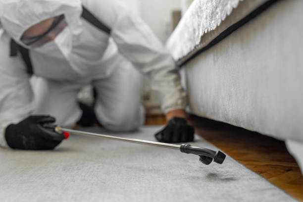 Professional Termite Control technician working in Portola, CA
