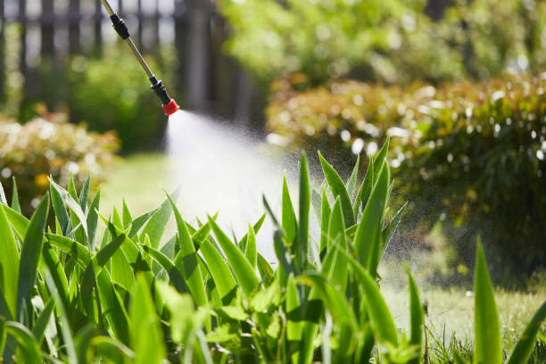 24/7 Emergency Termite Control experts in Portola, CA
