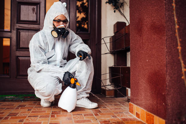 Reliable Termite Control contractor in Portola, CA by Nex Pest Control